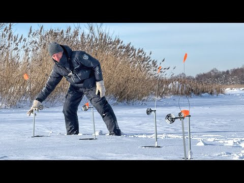 ОСТАВИЛ ЖЕРЛИЦЫ НА НОЧЬ БЕЗ ПРИСМОТРА! ВЕРНУЛСЯ УТРОМ И.....! Зимняя рыбалка. ОСТАВИЛ ЖЕРЛИЦЫ НА НОЧЬ БЕЗ ПРИСМОТРА! ВЕРНУЛСЯ УТРОМ И.....! Зимняя рыбалка.