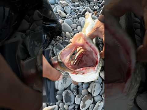 Смотри продолжение выше Смотри продолжение выше