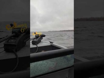 Волга сегодня волнуется