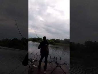 Паравоз і Аппарат на базі #shorts #рибалка #сазан