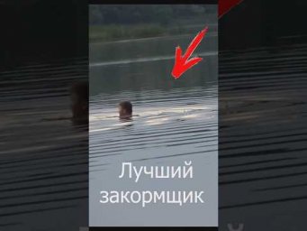 Как закормить рыбу. Лайфхак