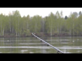 Рыбалка ПОВЕРИТЬ НЕ МОГУ, КЛЮЕТ ВСЯ РЫБА Сазан, Лещ, Плотва, Густера. Ловля на фидер на реке Волга.