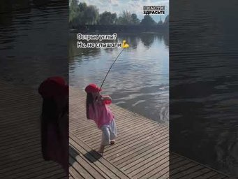 Зачетный СОМ припаркован