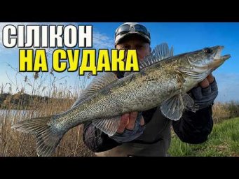 ✅Рибалка НА Судака з берега Де шукати і На що ловити?