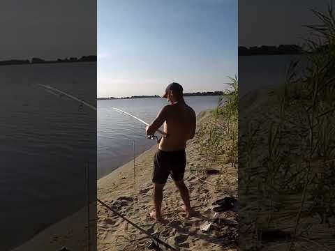 Цей ТОП нек у Кожного #ТОП #shorts #шортс #ртбалка Цей ТОП нек у Кожного #ТОП #shorts #шортс #ртбалка