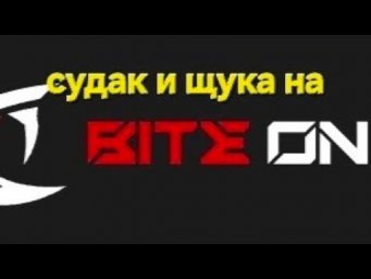 BITE ON на рыбалке.