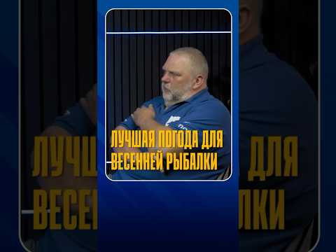 Когда наконец начинается настоящая рыбалка, а не просто забросы «на удачу»? Когда наконец начинается настоящая рыбалка, а не просто забросы «на удачу»?