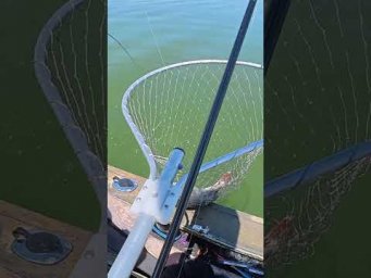 Дуплет #рибалка #fishing #shorts