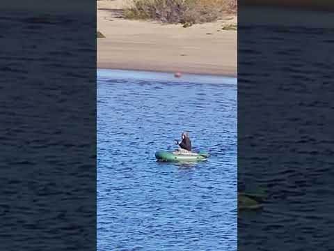 РЕЗИНКА VS FISHING BOAT