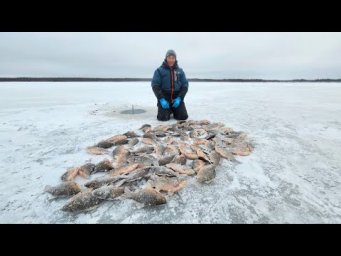 ПОДВИД ЗОЛОТОГО КАРАСЯ В ЯКУТИИ.