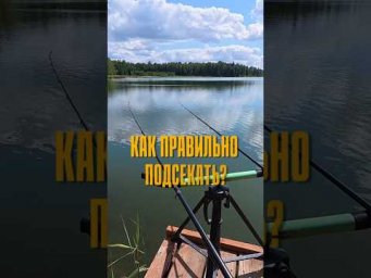 Почему карп сходит после поклёвки?