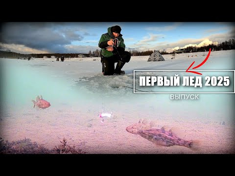ПЕРВЫЙ ЛЁД 2025 РЫБА КИШИТ ПОД ЛУНКОЙ. Зимняя рыбалка по первому льду. Подводная съёмка. ПЕРВЫЙ ЛЁД 2025 РЫБА КИШИТ ПОД ЛУНКОЙ. Зимняя рыбалка по первому льду. Подводная съёмка.