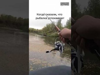Без спокойствия, зато с рыбой