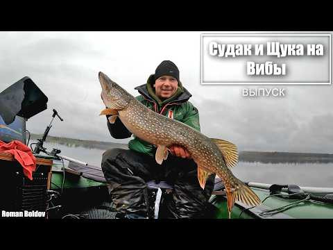 БОЛЬШАЯ ЩУКА АТАКОВАЛА СТАЮ РЫБЫ И ПРОГЛОТИЛА МОЮ ПРИМАНКУ! Зимняя рыбалка. Ловля Судака и Щуки БОЛЬШАЯ ЩУКА АТАКОВАЛА СТАЮ РЫБЫ И ПРОГЛОТИЛА МОЮ ПРИМАНКУ! Зимняя рыбалка. Ловля Судака и Щуки