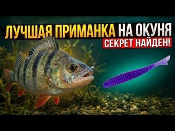 ЛУЧШАЯ ПРИМАНКА НА ОКУНЯ. РЫБАЛКА НА СПИННИНГ. FISHTAIL