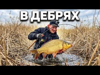В ДЕБРЯХ ДИКИЕ КАРАСИ НА ПОПЛАВОК в КАМЫШАХ! НЕВОЗМОЖНО ОСТАНОВИТЬСЯ!