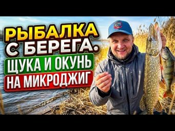 РЫБАЛКА С БЕРЕГА. ЩУКА И ОКУНЬ НА МИКРОЖИГ. СПИННИНГ