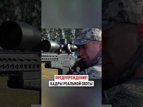 Трофейная охота НА САМЦА Сибирской косули  #охота #трофейнаяохота