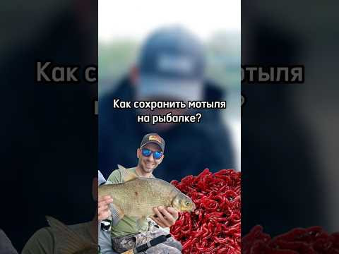 Бодрая наживка &ndash; залог успешной ловли
