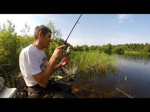 Рыбалка на Исаакиевском озере.  Весёлый клёв непонятной рыбёхи под конец рыбалки.