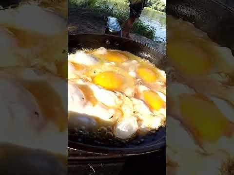 Пару Слов і ПОГНАЛИ #shorts #рибалка #шортс