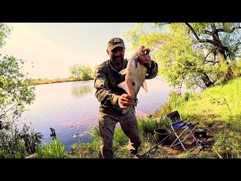 Клёв как на "Черных камнях". Еле достал садок с рыбой из воды