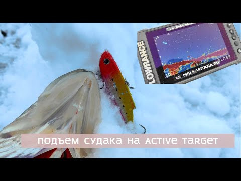 ПОДЪЕМ СУДАКА НА ACTIVE TARGET 2 ЗИМОЙ &mdash; ВИДНО ВСЁ!! ИЩЕМ ХИЩНИКА ЗИМОЙ