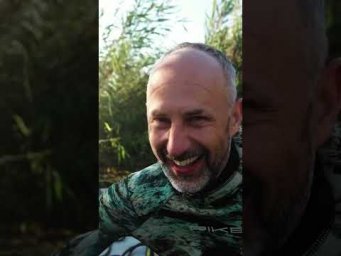 Готовы прыгать по кочкам?