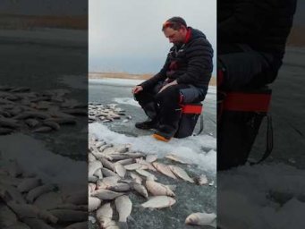 День 18✅Порем КАРАСЕЙ по самому последнему льду на секретном озере
