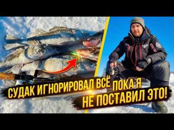 СУДАК ИГНОРИРОВАЛ ВСЁ, ПОКА Я НЕ ПОСТАВИЛ ЭТО! РЫБАЛКА НА ЖИГУЛЕВСКОМ МОРЕ