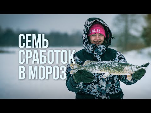 Щука на жерлицы в мороз. Зимняя рыбалка, которая не задалась Щука на жерлицы в мороз. Зимняя рыбалка, которая не задалась