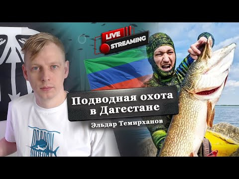 Подводная охота в Дагестане. Эльдар Темирханов Подводная охота в Дагестане. Эльдар Темирханов