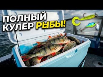 Поставил твистер + тейл-спиннер и НАЧАЛ ЛОВИТЬ КАК ЖАДИНА! Рыбалка на спиннинг. Крупный окунь, судак
