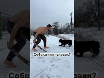 Собака или человек?Тренируемся вместе с Героем.
