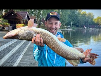 САМАЯ ДОРОГАЯ рыбалка в Подмосковье! GOLD SAZAN. Рейтинг рыболовных баз