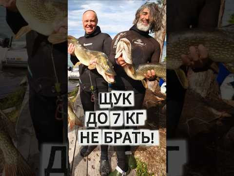 Приказ: ТОЛЬКО ТРОФЕИ Приказ: ТОЛЬКО ТРОФЕИ