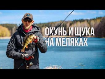 Окунь и щука на меляке. Секрет спиннинговой проводки в толще воды весной. Пелагический джиг.