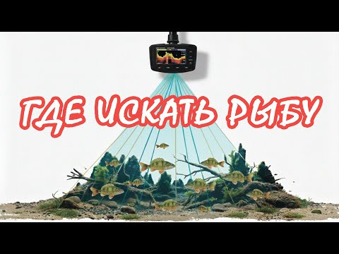 ГДЕ ИСКАТЬ РЫБУ. ПОИСК РЫБЫ НА ВОДОХРАНИЛИЩЕ. РЫБАЛКА НА СПИННИНГ