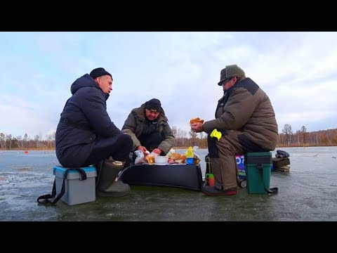 ПЕРВЫЙ ЛЕД 2025 2026! рыбалка на жерлицы и ловля окуня по первому льду
