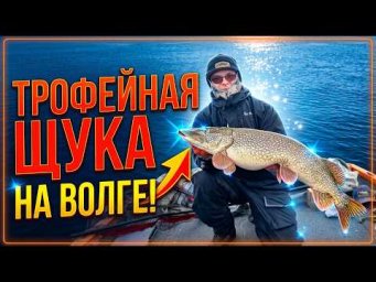 НЕОЖИДАННАЯ РАЗВЯЗКА РЫБАЛКИ НА ПОПЛАВОК &mdash; ТРОФЕЙНАЯ ЩУКА НА ВОЛГЕ!