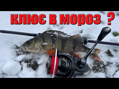 ЗИМОВИЙ ОКУНЬ З БЕРЕГА ❄️ КЛЮЄ В МОРОЗ?! Ловля на спінінг ЗИМОВИЙ ОКУНЬ З БЕРЕГА ❄️ КЛЮЄ В МОРОЗ?! Ловля на спінінг