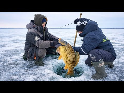 ОЦЕ КАБАН КЛЮНУВ!!! Від такої РИБАЛКИ у АРТУРЧІКА ТАХІКАРДІЯ!!!