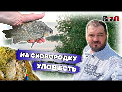 На рыбалку за жаренным карасём.Ловля карася на поплавок. На рыбалку за жаренным карасём.Ловля карася на поплавок.