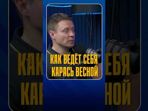 Где искать крупного карася весной? 