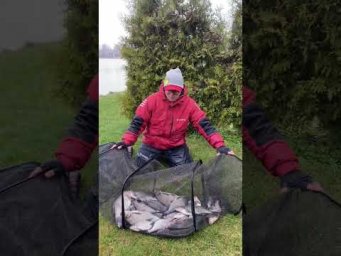 Подписываемся на Boosty! #рыбалка #рыбалканаозере #рыбалканафидер #fishing