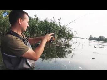 Сентябрь. Поплавлавок дрожит - рыба на крючок спешит.