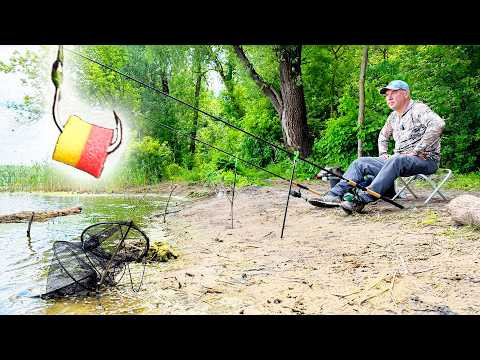 Ловлю КАРАСЯ на річці. Він в захваті від часнику і плавунця! Ловлю КАРАСЯ на річці. Він в захваті від часнику і плавунця!