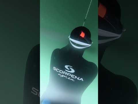 2 сентября 2025 г. 2 сентября 2025 г.