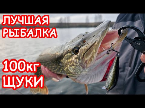 100кг ЩУКИ на ВОБЛЕР  ТАКОГО НЕ ОЖИДАЛ НИКТО