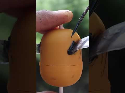 DIY Fishing Hack Using Everyday Things! DIY Fishing Hack Using Everyday Things!